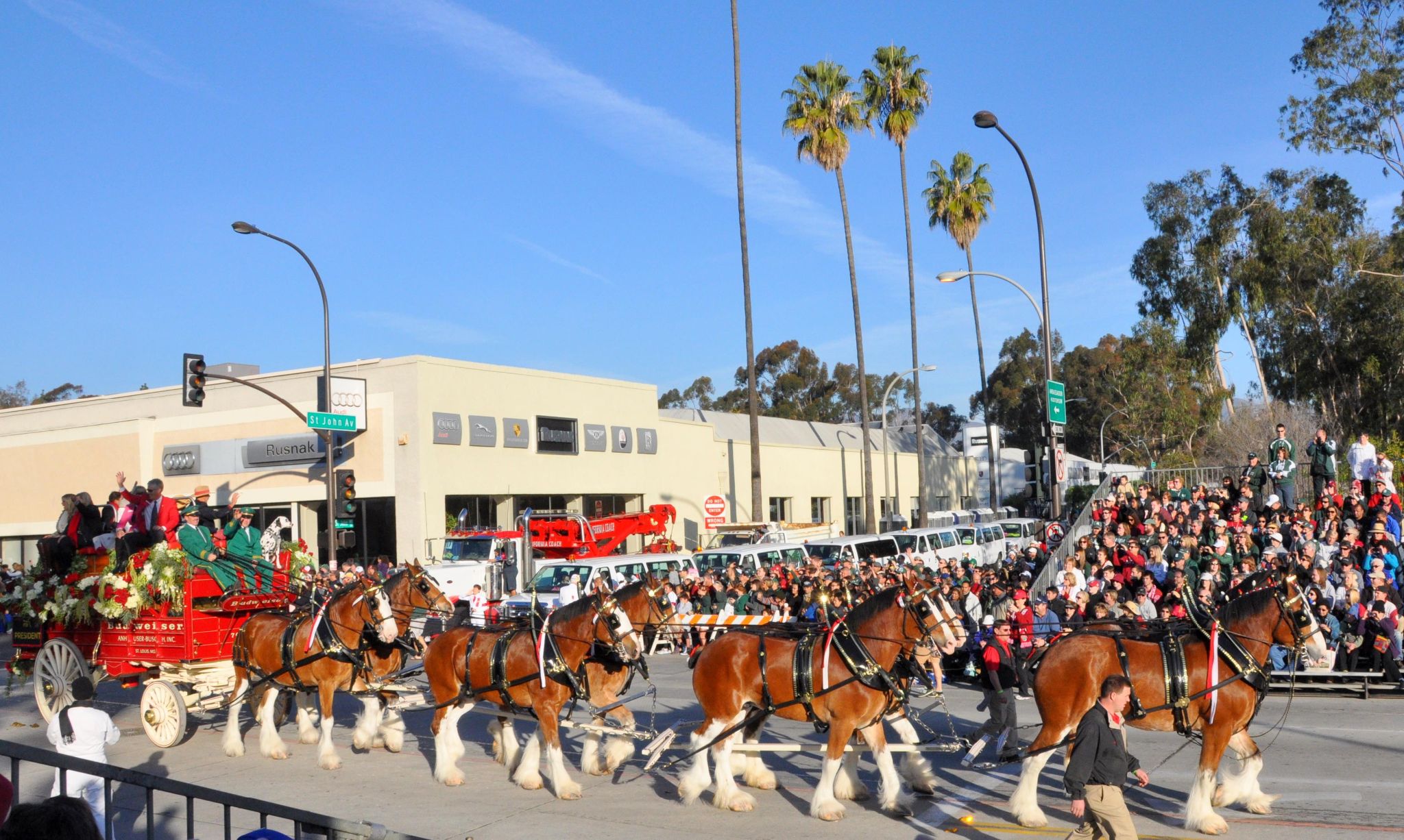 Budwiser Clydesdales and Carriage, Tournament of Roses Parade, Pasadena, CA - 2014-01-01