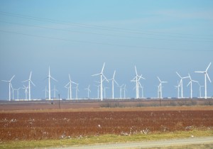 COTTON FIELDS AND WIND FARM