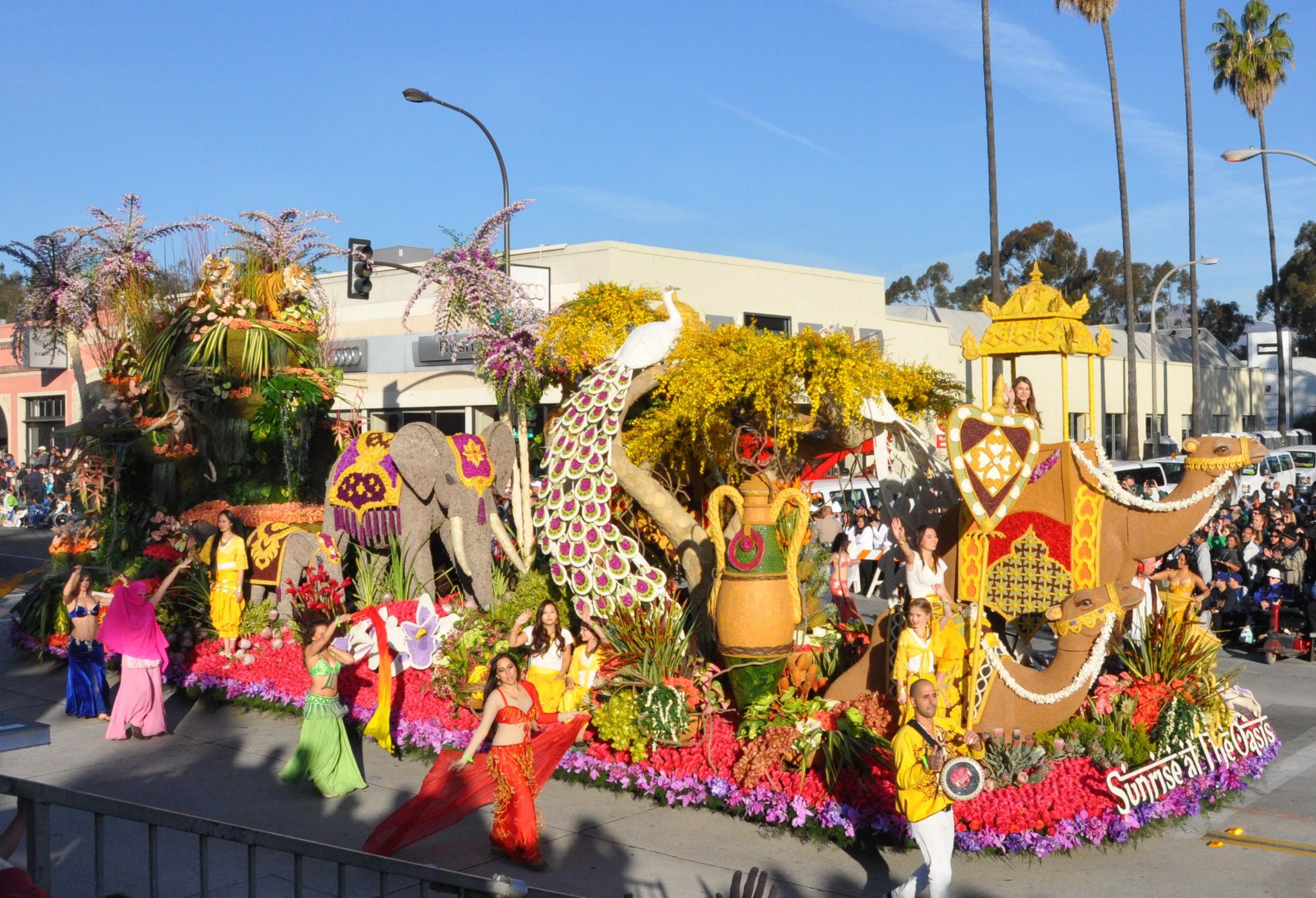 Dole Packaged Foods - Sunrise at the Oasis (a), Tournament of Roses Parade, Pasadena, CA - 2014-01-01