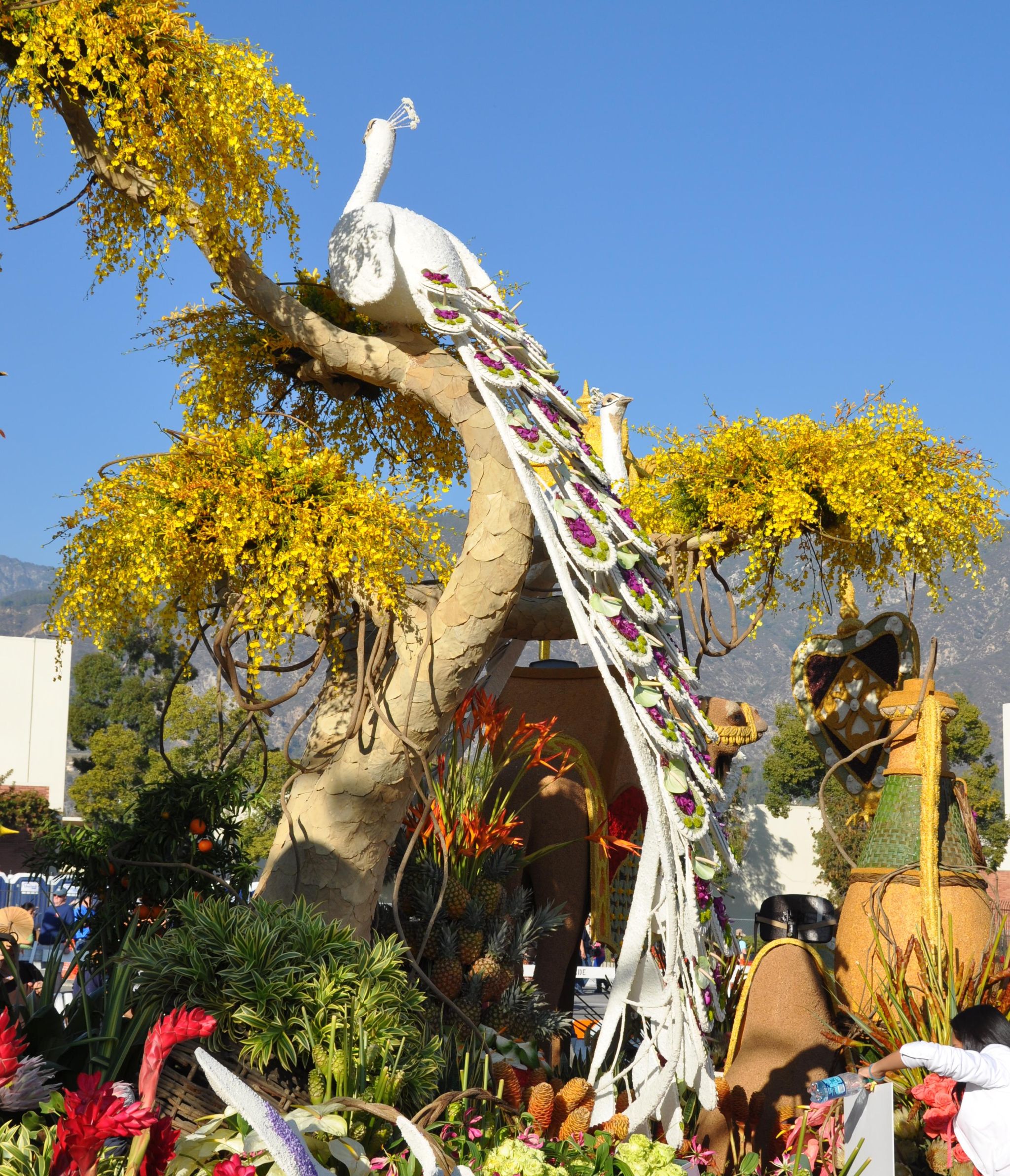 Dole Packaged Foods - Sunrise at the Oasis (d), Tournament of Roses Parade Showcase, Pasadena, CA - 2014-01-01