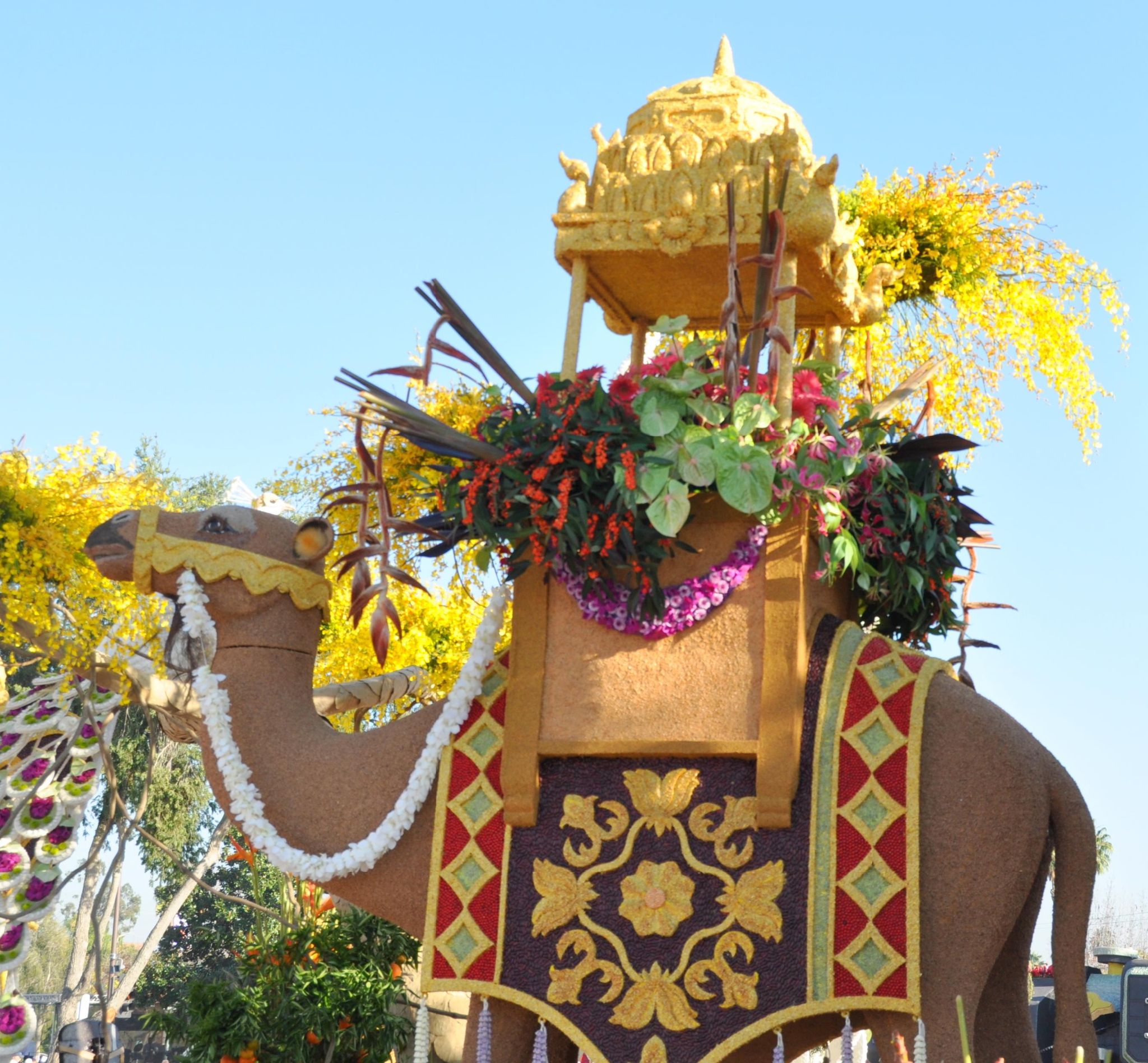 Dole Packaged Foods - Sunrise at the Oasis (h), Tournament of Roses Parade Showcase, Pasadena, CA - 2014-01-01