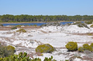 Dunes and Deer Lake at Deer Lake State Park, Seagrove, FL - 2014-01-19