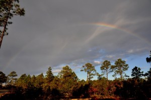 Early Morning Rainbow Outside our RV, Grayton State Park, Santa Rosa Beach, FL - 2014-01-19