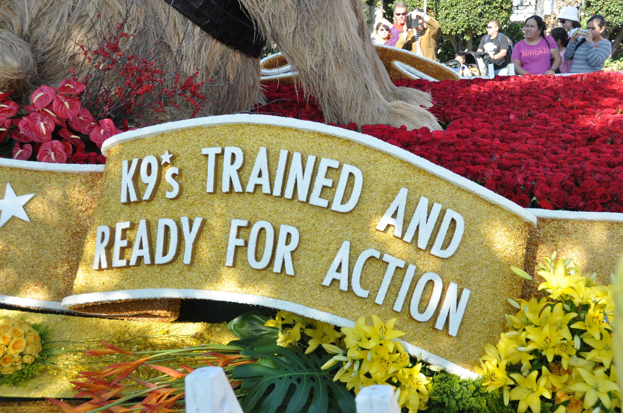 K9s 4 Cops (e), Tournament of Roses Parade Showcase, Pasadena, CA - 2014-01-01