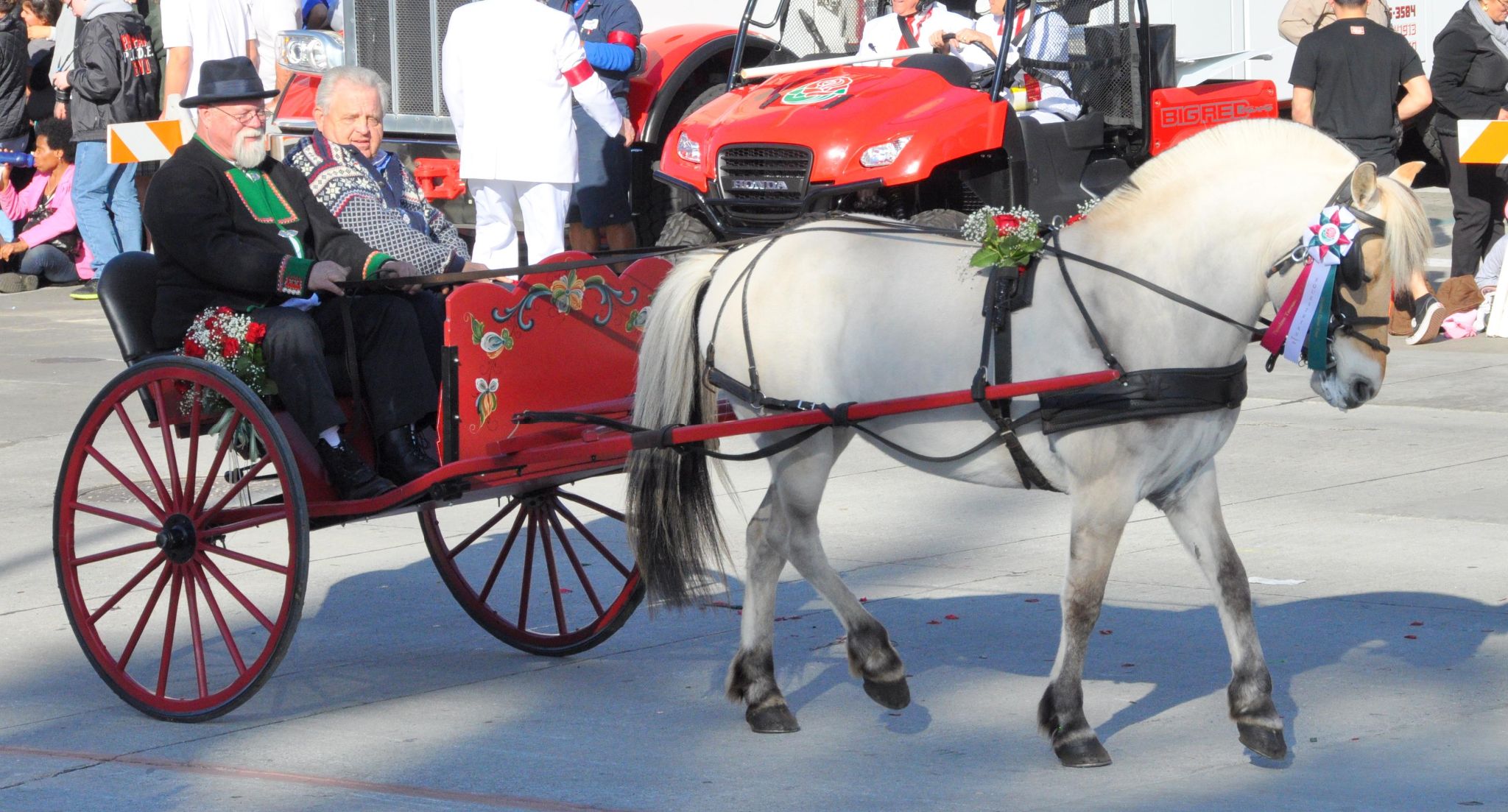 Norwegian Fjord Horse Registry (b), Tournament of Roses Parade, Pasadena, CA - 2014-01-01