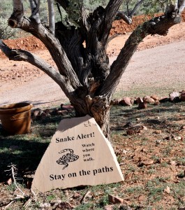 Snake Alert Sign, Superstition Mountain Museum, Apache Trail, AZ - 2014-01-06