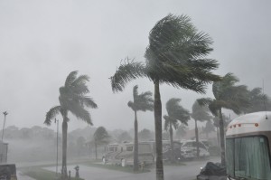 Storm (b), Naples Motorcoach Resort, Naples, FL - 2014-03-06