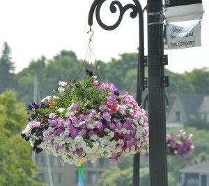 Charlesvoix - Hanging Flower Basket