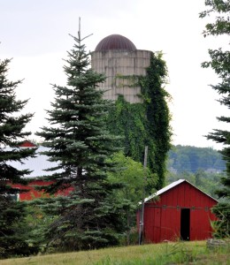 An ivy-covered silo