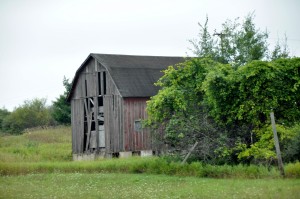 Old Barn, Route 37, MI - 2014-08-22