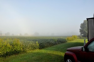 Early Morning Fog, Alton RV Park, Galloway, OH - 2014-09-03
