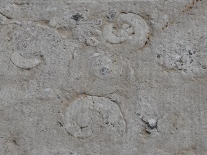Ohio State Capitol (Fossils in 250 million year old Limestone Walls), Columbus, OH - 2014-09-03