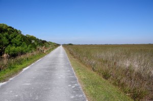 Shark River Bike Path, Evergaldes National Park - Dade County, FL - 2015-02-15