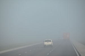 Fog (c)