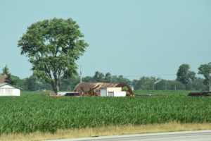 Decaying Quonset Hut, Along I-65 - Northwestern Indiana - 2016-06-25