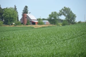 SIlo, Barn and Corn Along I-80, Central Iowa - 2016-06-29