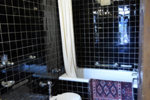 Salisbury (Charles Weeks Bathroom), Des Moines, IA - 2016-06-30