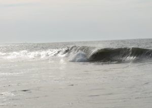 Surf (d)