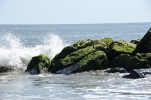 Waves Breaking over a Jetty at Cape May Beach, Cape May, NJ 2013-06-09