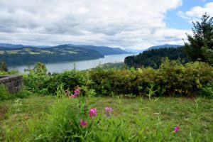 Columbia River  looking East from Chanticleer Point, Historic US Route 30 - 2016-07-23