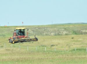 Farmer Mowing Hay off I-94, Western North Dakota - 2016-07-08