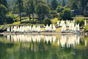Laser Sailboats Waiting for the Wind at Cascade Locks, OR - 2106-07-24