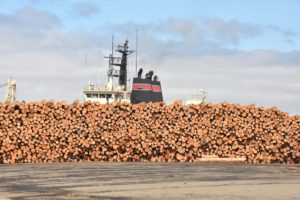 Logs for Overseas Shipment (b), Port of Astoria - Astoria, OR - 2016-07-26