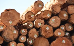 Logs for Overseas Shipment (c), Port of Astoria - Astoria, OR - 2016-07-26