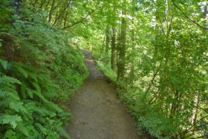 Path from Wakeena to Multnomah Falls, Historic US Route 30 - 2016-07-23