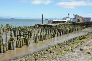Pilings and Several Freighters - Astoria, OR - 2016-07-26