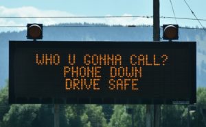 Who U Gonna Call Sign along US-95 Southwestern Idaho - 2106-07-15