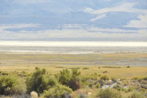 Alkali Flats (a) in the Forty Mile Desert, NV - 2016-08-09