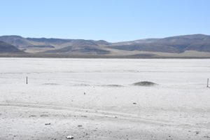 Alkali Flats (c) in the Forty Mile Desert, NV - 2016-08-09