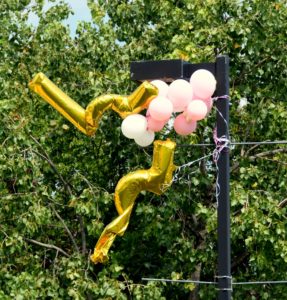 Balloons Caught on a Lamppost, Riverfront Park, Little Rock,AR - 2016-08-28