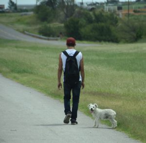 Walking along I-40 with nleashed Dog west of Oklahoma City, OOK - 2016-08-24
